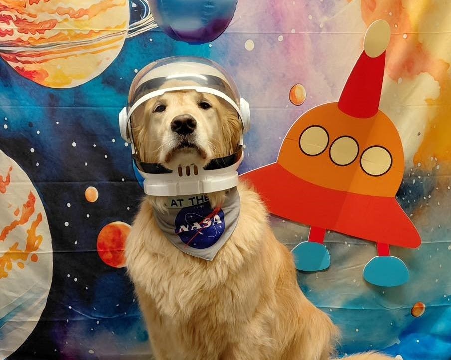 Sadie Kelso is ready for an out-of-this-world prom at Holiday House. 