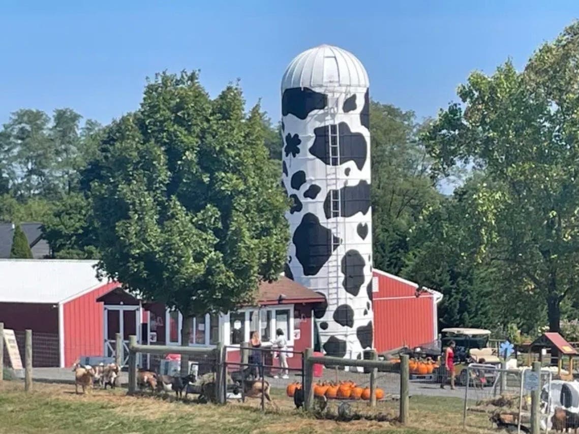 The signature black and white silo at Hellerick's Adventure Farm.