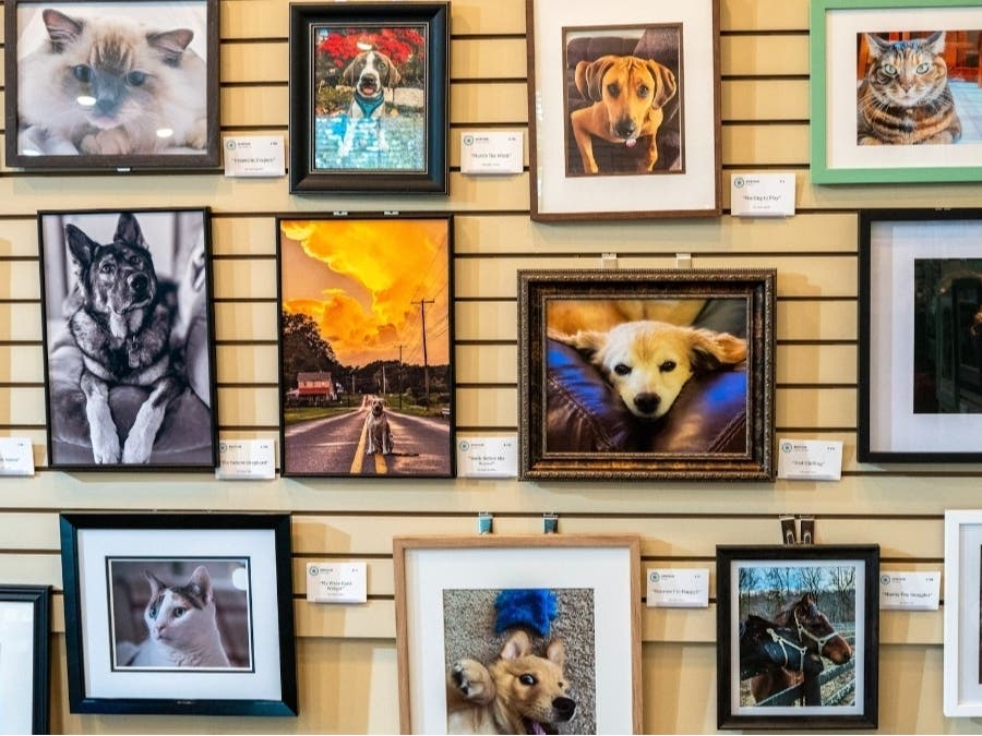 The Pet Photography and Exhibit on display in 2025 at the village.