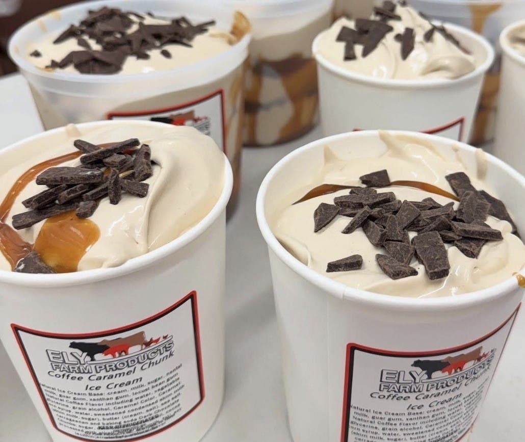 Ely's Premium Ice Cream.