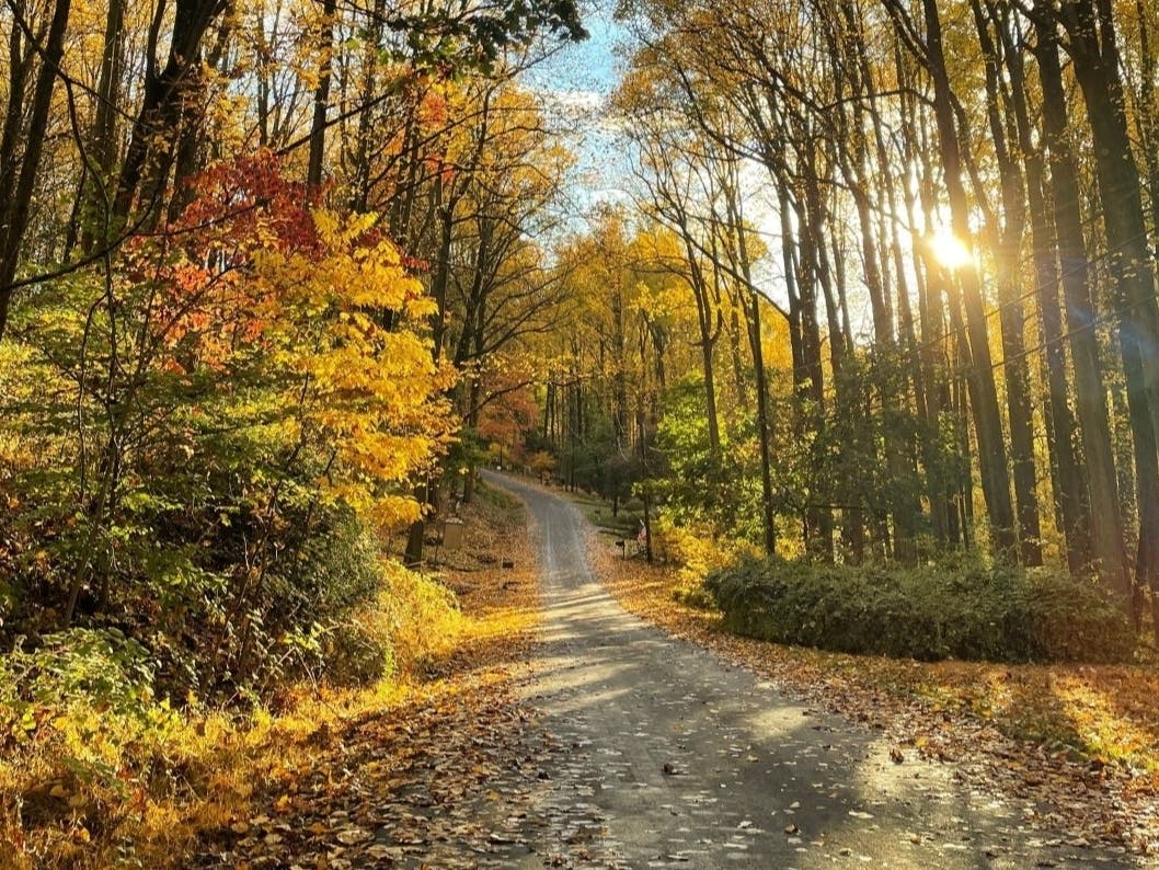 Solebury Mountain Road, New Hope. Autumn Morning.
