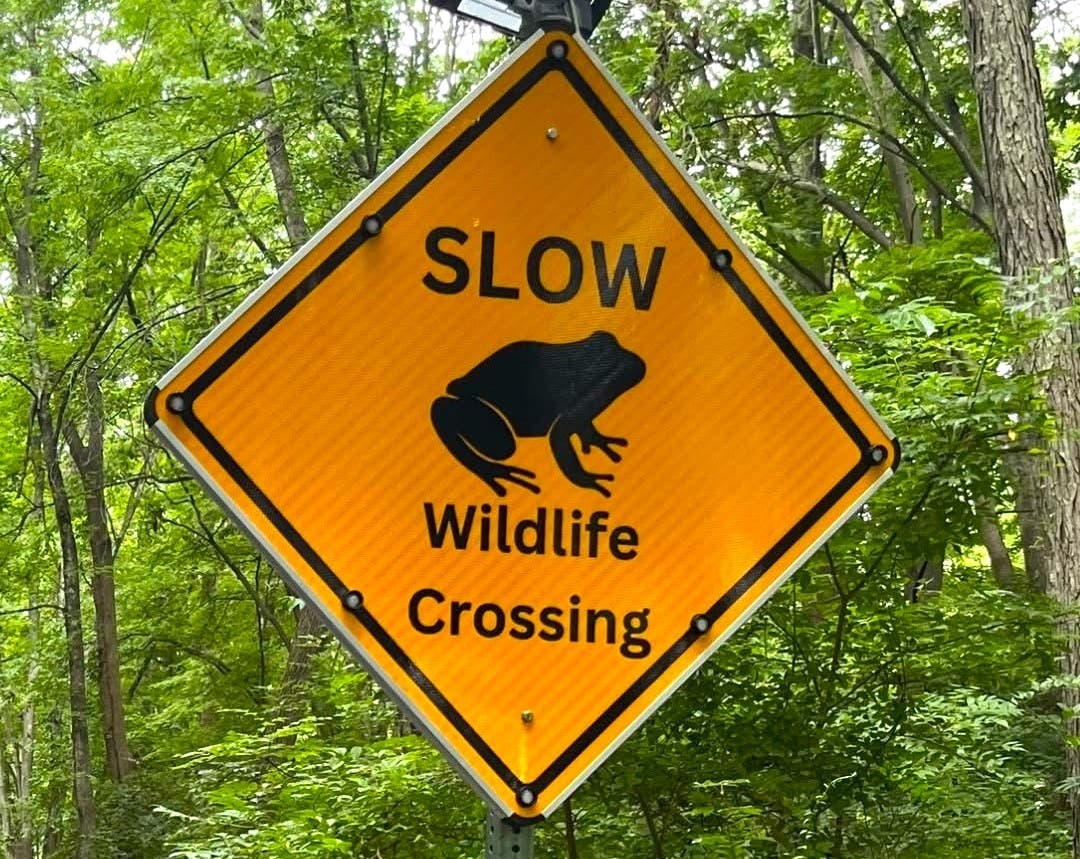 The new signs have been installed along Upper Mountain Road in Buckingham.