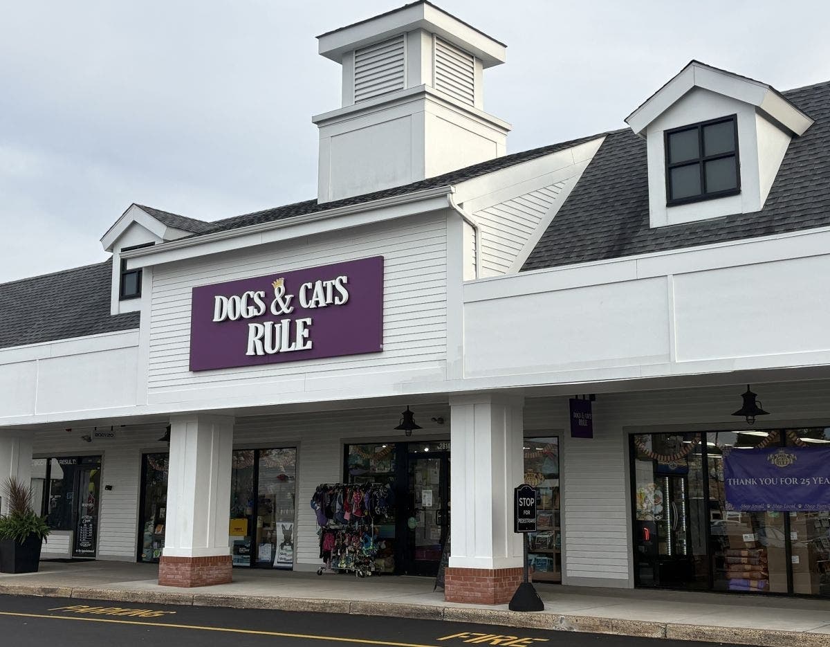 Dogs & Cats Rule in the Village at Newtown Shopping Center on Eagle Road.