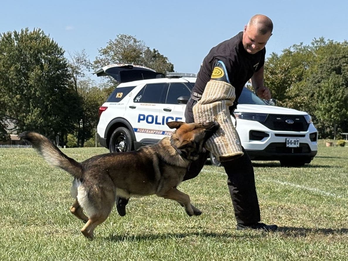 The police K-9 demonstration is always a popular event at Northampton Day.
