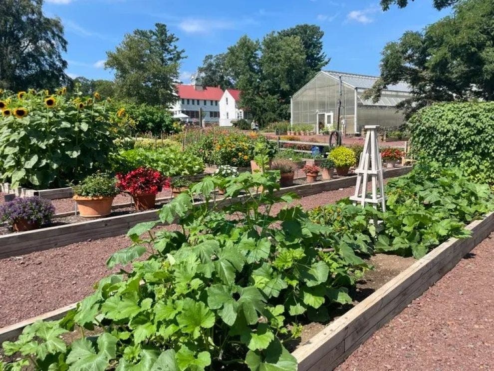 Burpee trial gardens at Fordhook Farm in Doylestown Township.