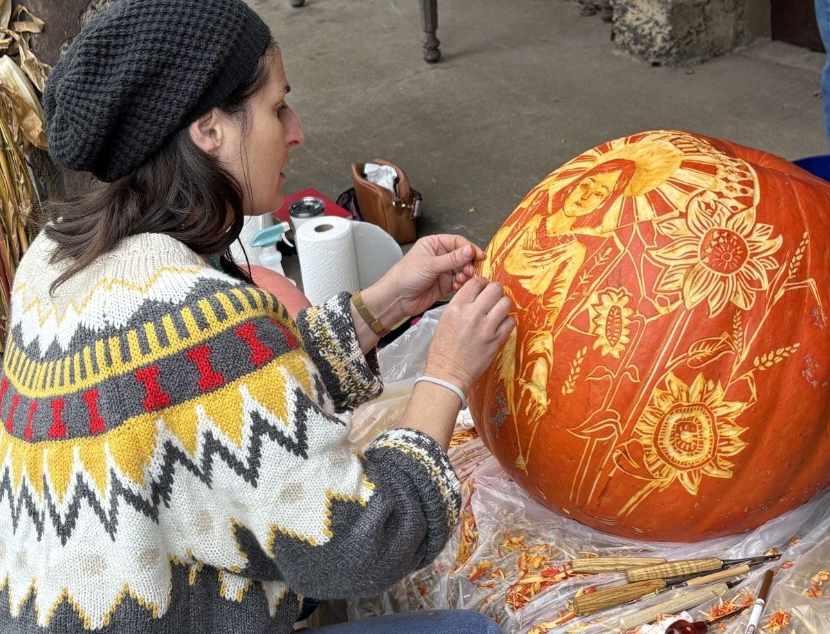 7 Fun Things To Do This Weekend In Bucks County | Doylestown, PA Patch
