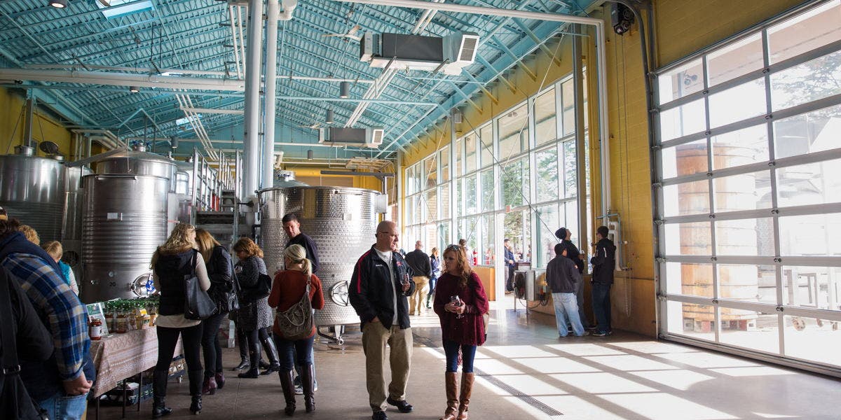 Juicy Market X Newport Vineyards: Vines and Finds