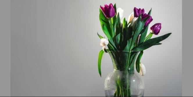Make Your Own Glass Vase - June 2026