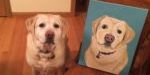 Paint Your Pet - Painting Class
