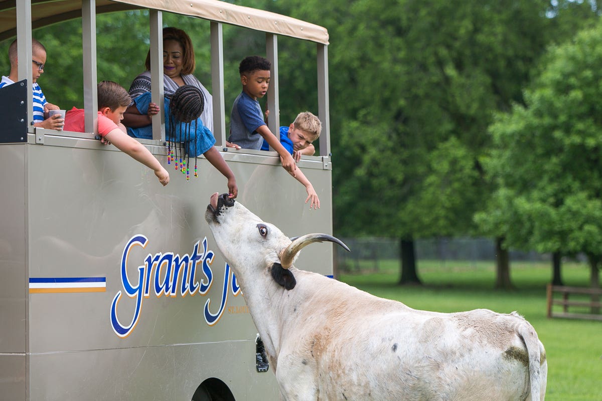 Grant's Farm