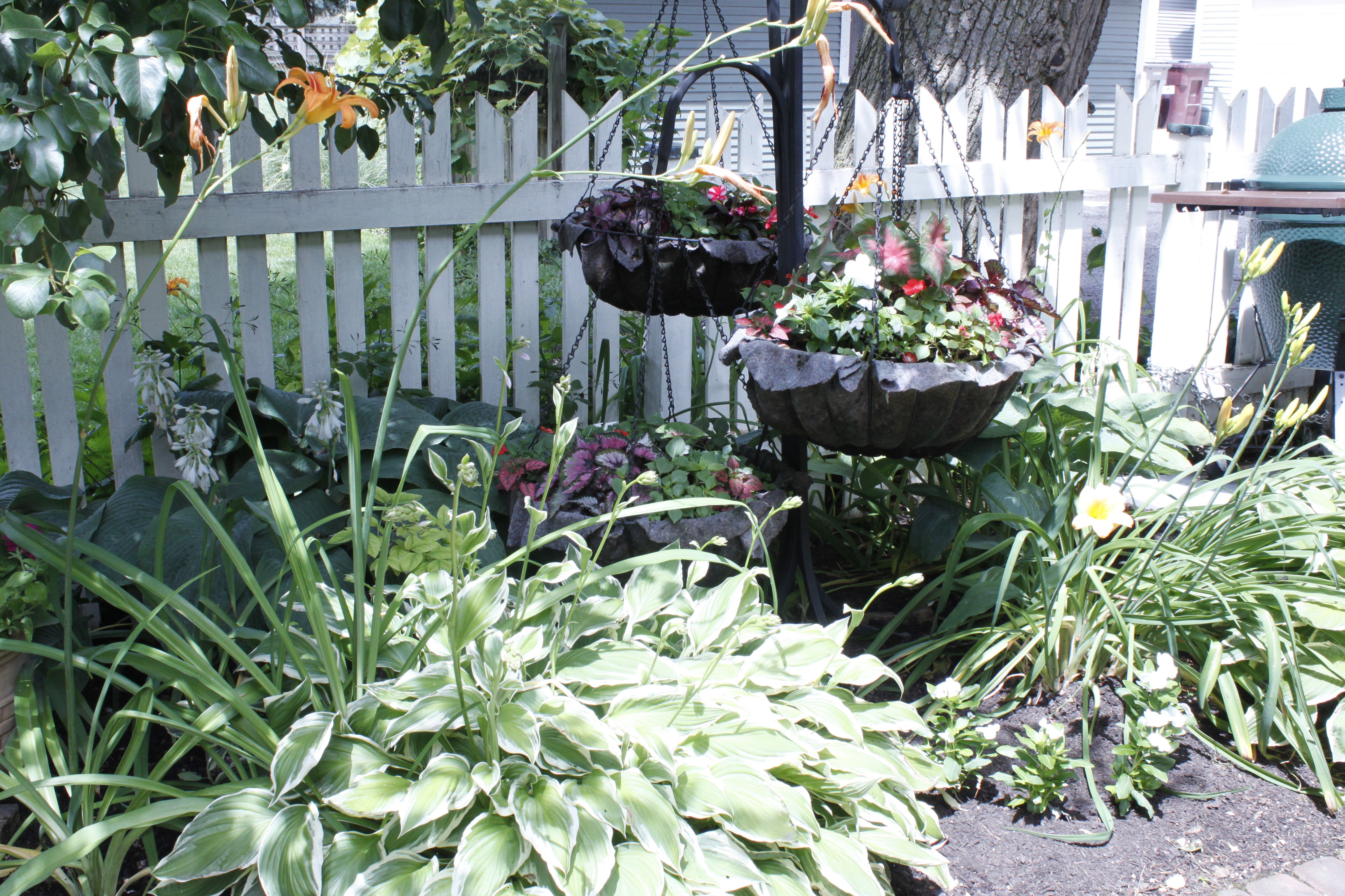 31st Annual Oak Park and River Forest Garden Walk