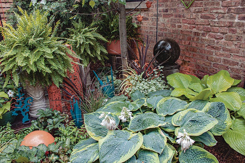 Don't miss the 32nd Annual Garden Walk Sunday June 28