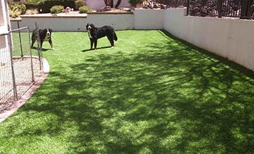 Goodman's Landscape Maintenance, LLC