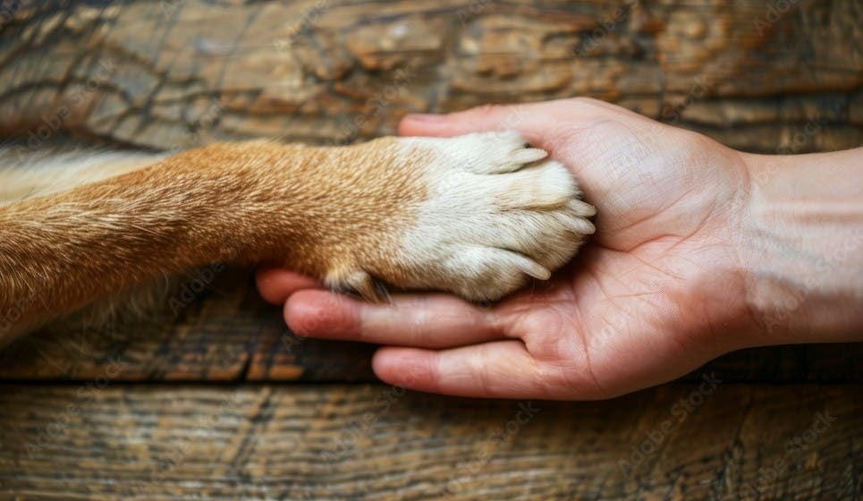 Blessing of the Animals