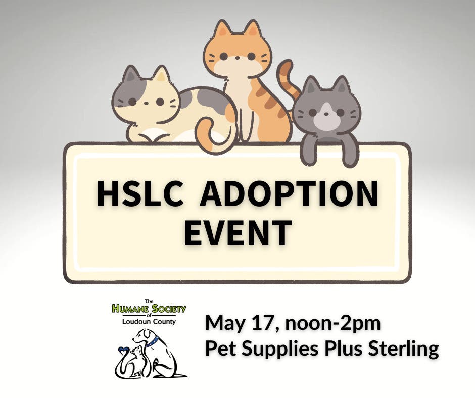 HSLC Adoption Event
