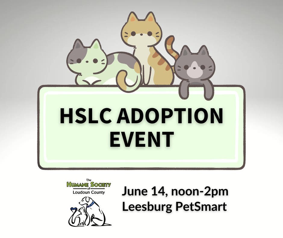 HSLC Adoption Event