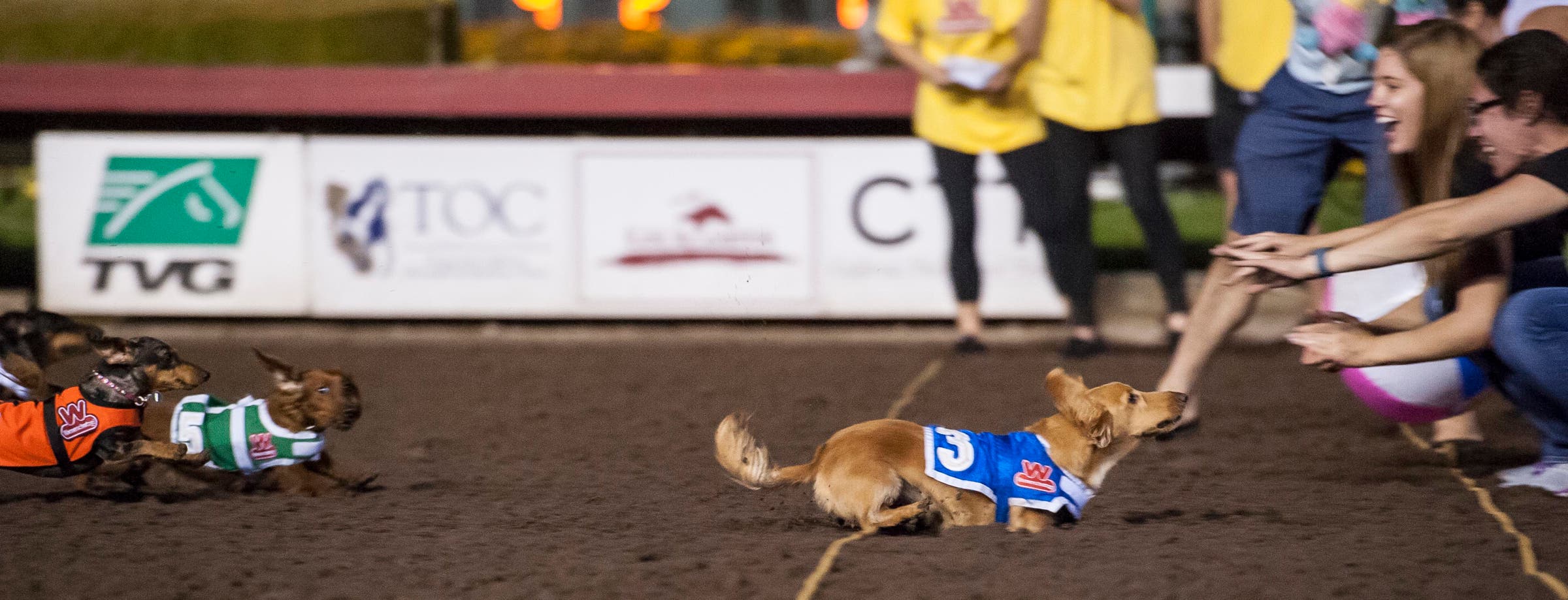 28th Wienerschnitzel Wiener Nationals