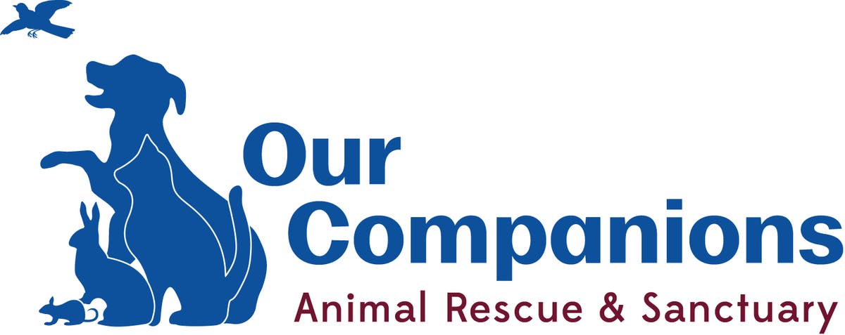 Our Companions Animal Rescue