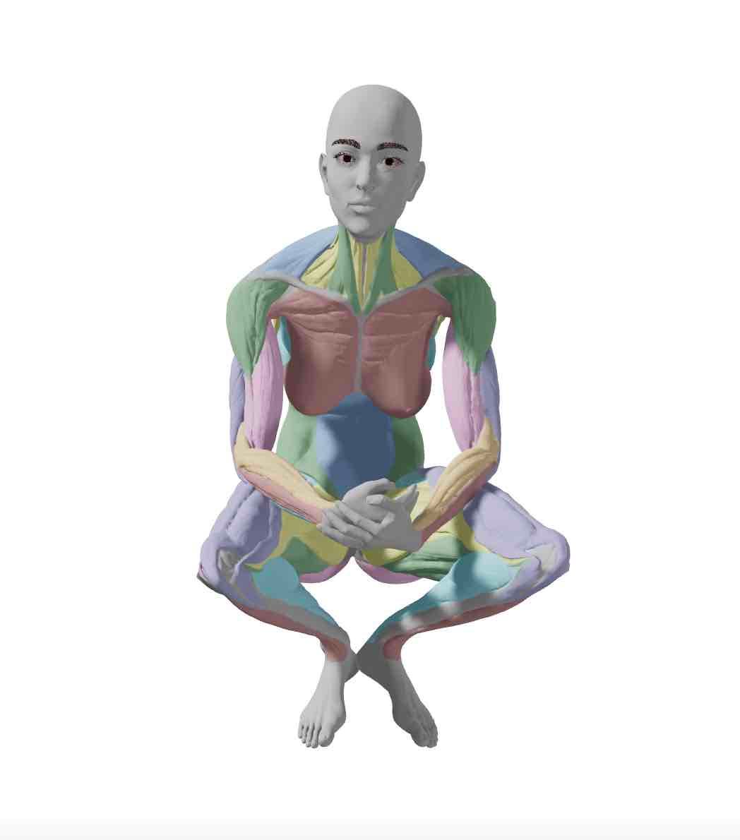 WALKING + SQUATTING: An 8-Week Series with Ruth Knill