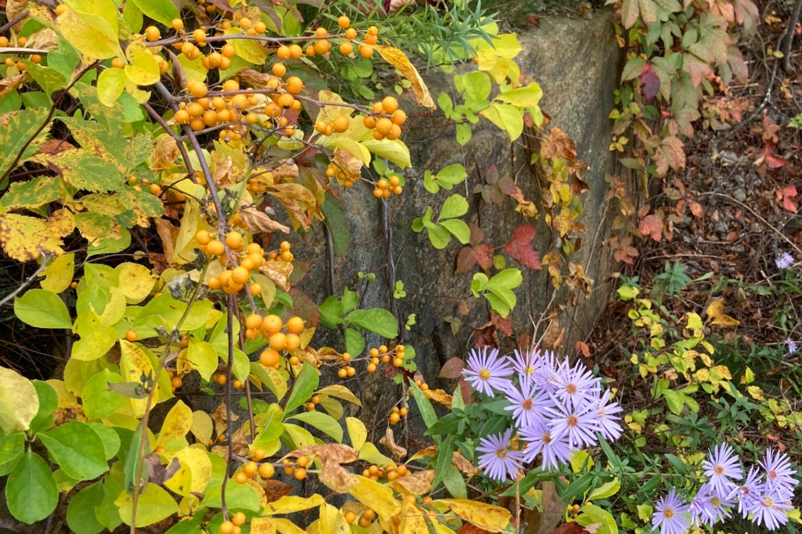 PLAYSHOP For Autumn ~ Welcoming It All with Chandra Cantor & Robin Shaw