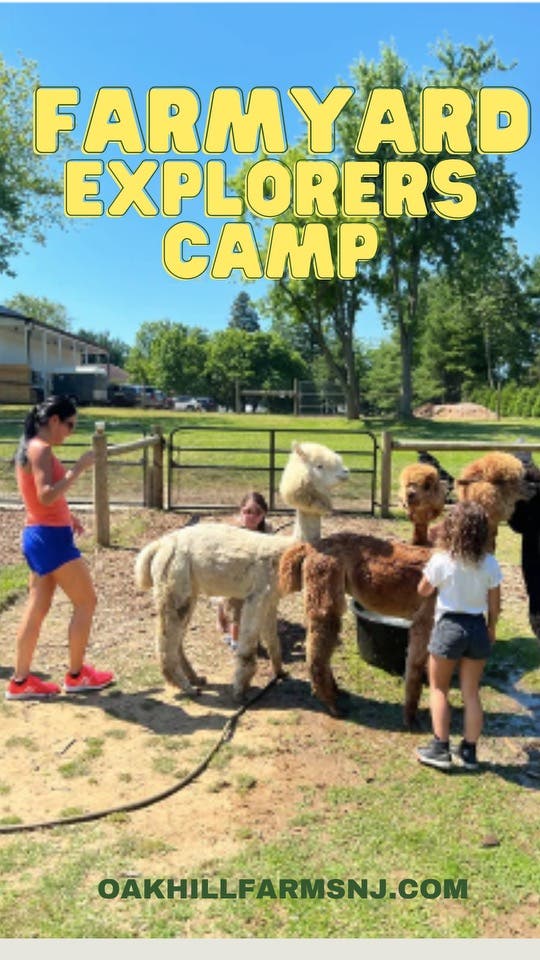 Jun 25 | Farmyard Explorers Camp | Middletown, NJ Patch
