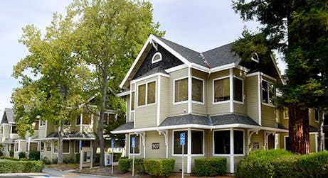 Massage Therapy by Monica - LMT