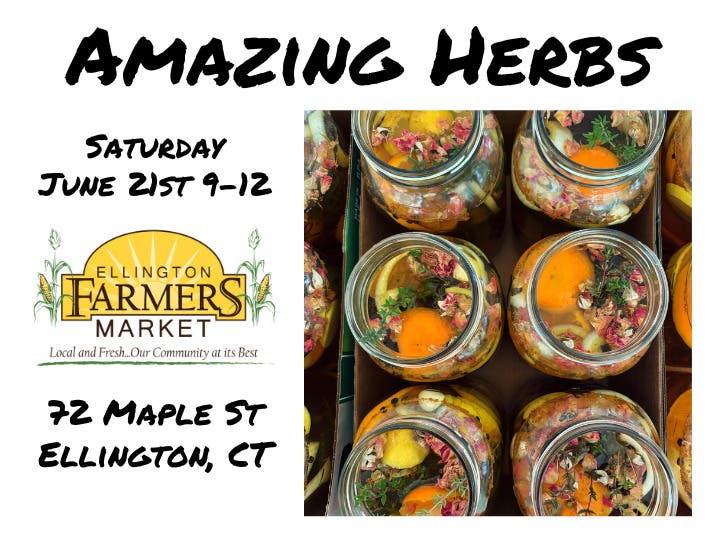 Amazing Herbs at the Ellington Farmers Market