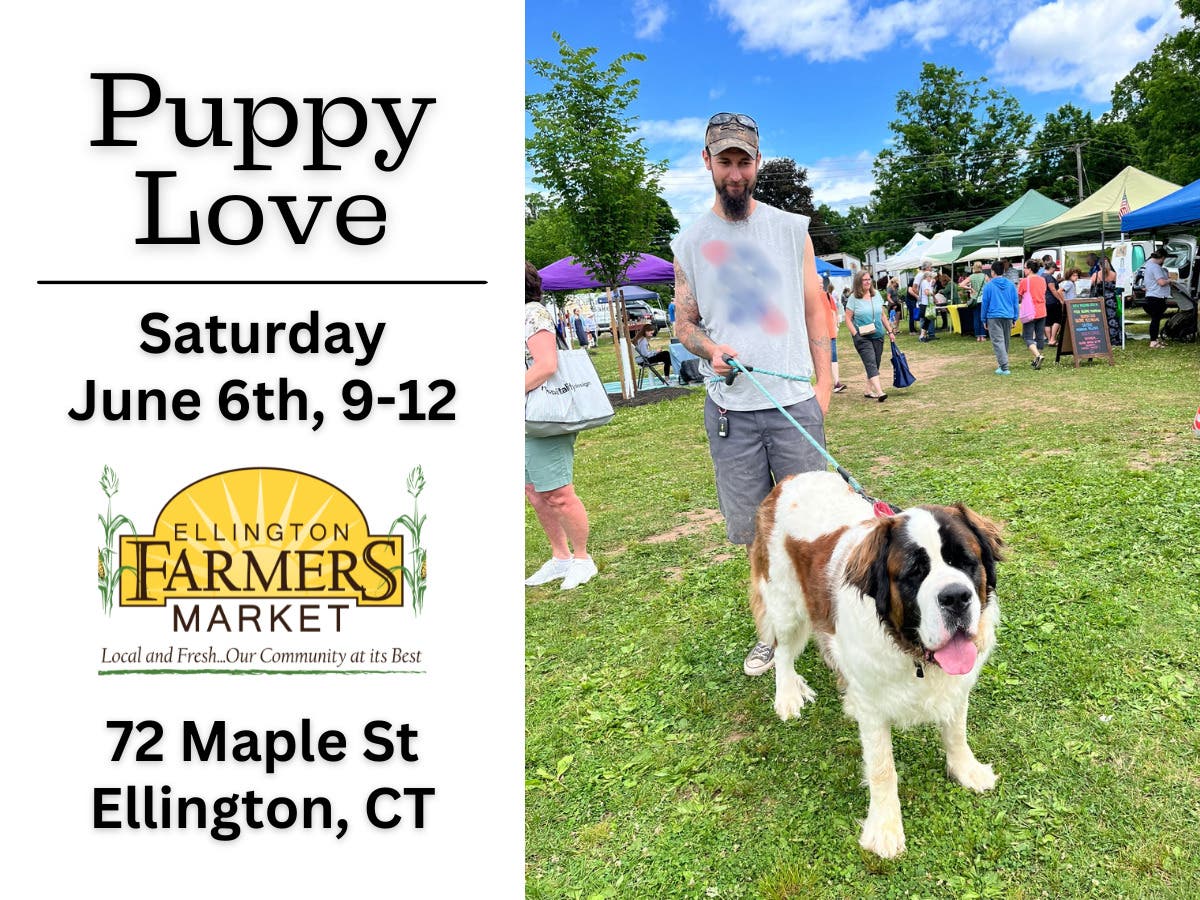 Puppy Love at the Ellington Farmers Market