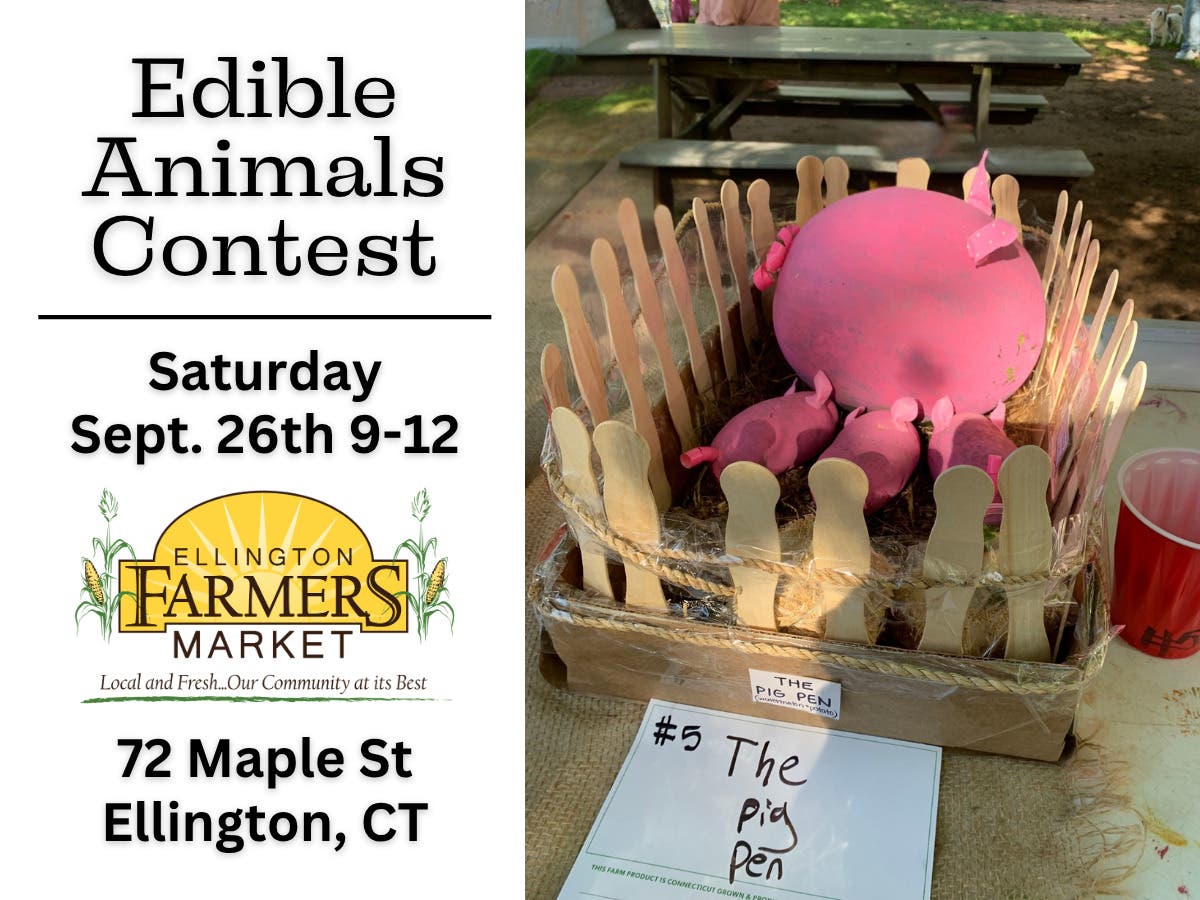 Edible Animals Contest at the Ellington Farmers Market