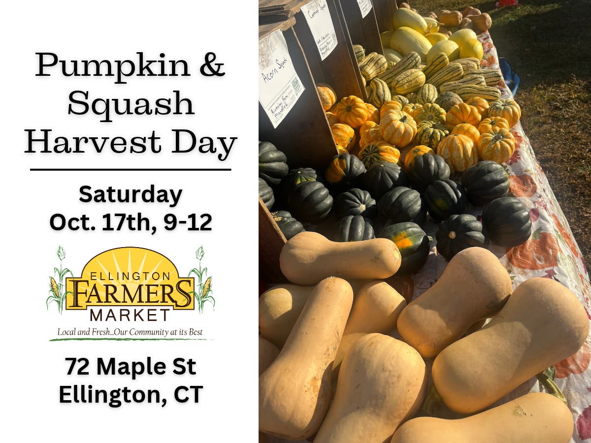 Pumpkin & Squash Harvest Day at the Ellington Farmers Market