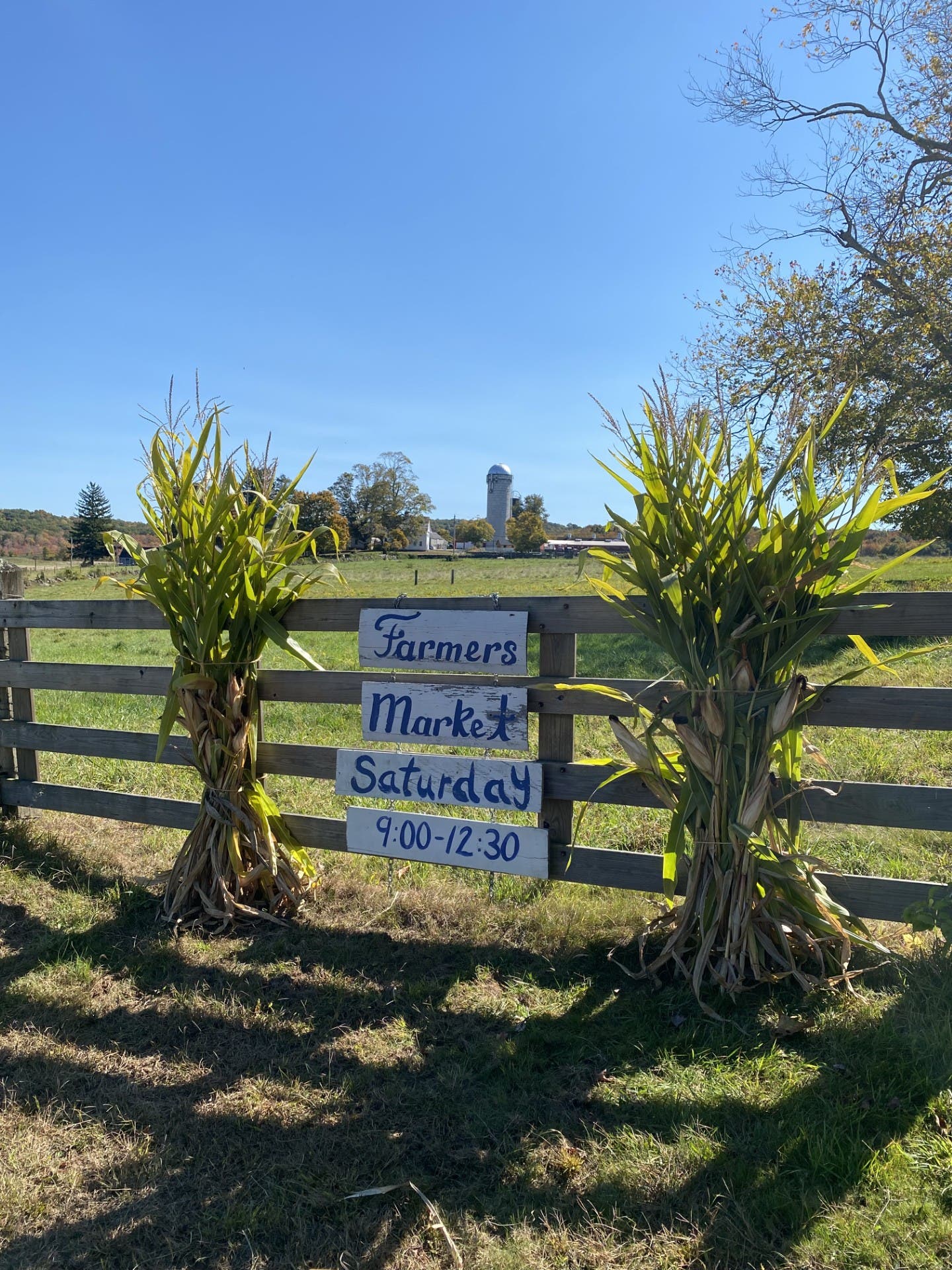 The Farmers Market at Tiffany Farms