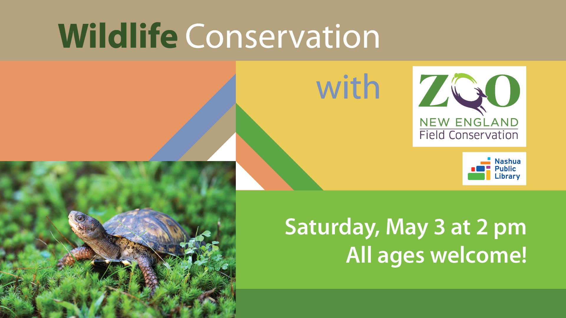 Wildlife Conservation with Zoo New England 