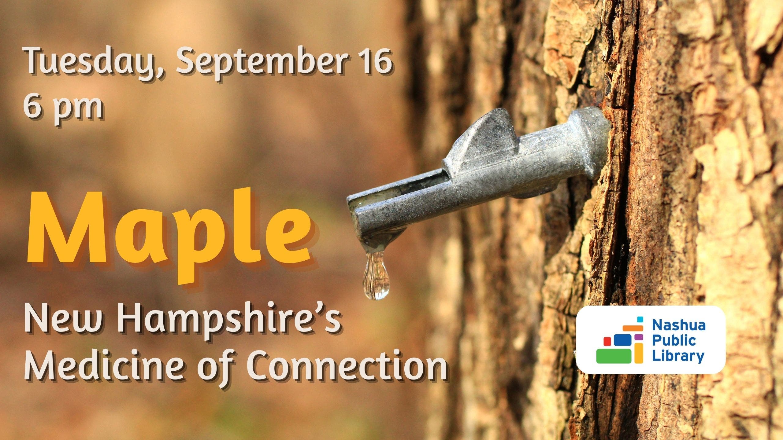 Maple, New Hampshire's Medicine of Connection