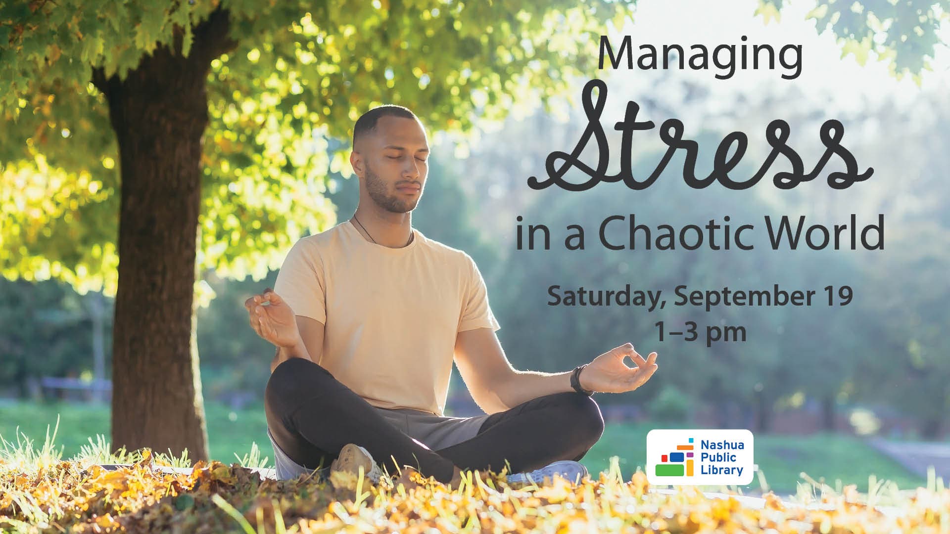 Managing Stress in a Chaotic World