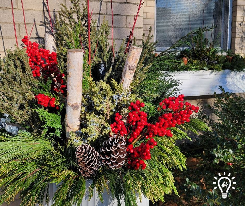 Huge sale for holiday greenery! Everything you need for winter containers!