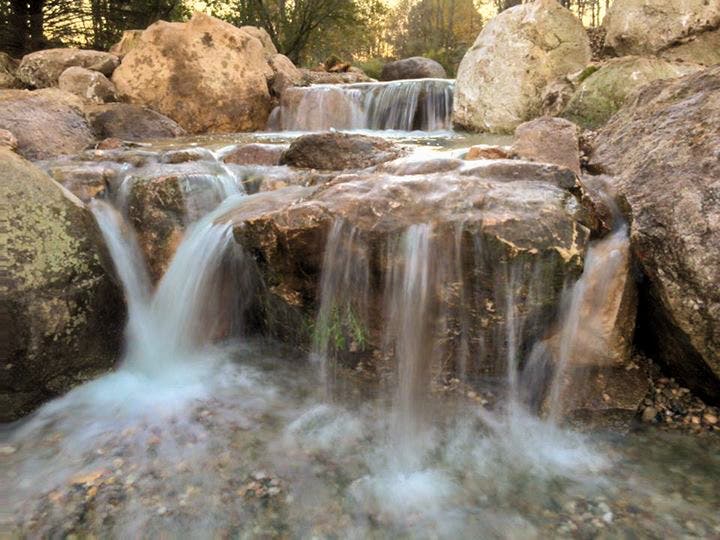 BR & D Landscape, Inc