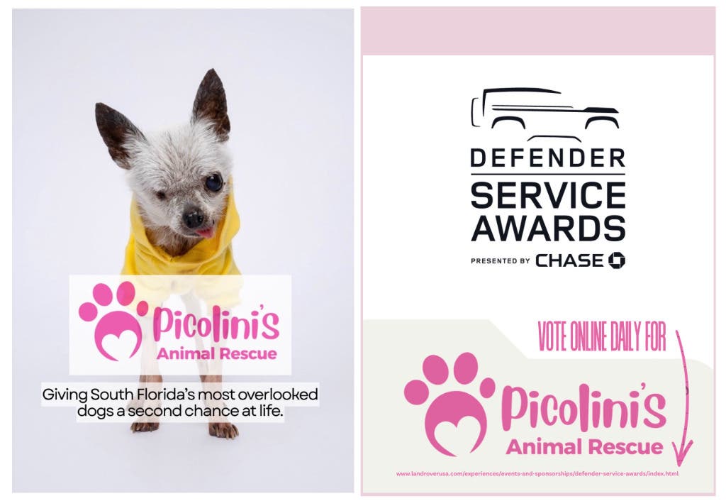 Picolinis Animal Rescue Named Top 5 Finalist in the 2026 Defender Service Awards