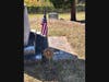 SAR Patriot Grave Marker at the Base of Charles Thomsons memorial obselisk at his grave site.