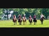 U.S. Light Dragoons in Formation