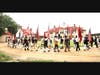 Procession of flags passing in front of Mt. Vernon