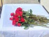 Red roses laid on top of the unknown Rev War Soldier's grave