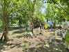 Cemetery with Grave of Robert White to the right of the U.S. Flag