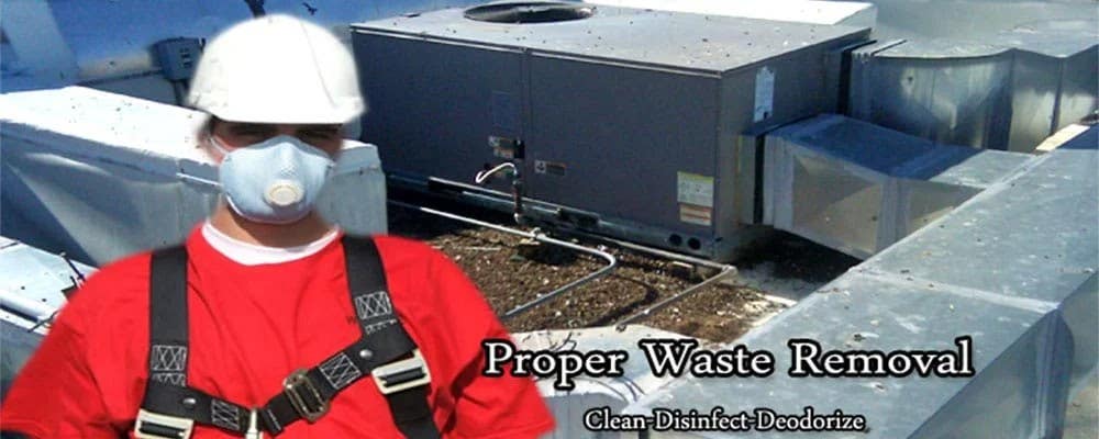 Pest Bird Management