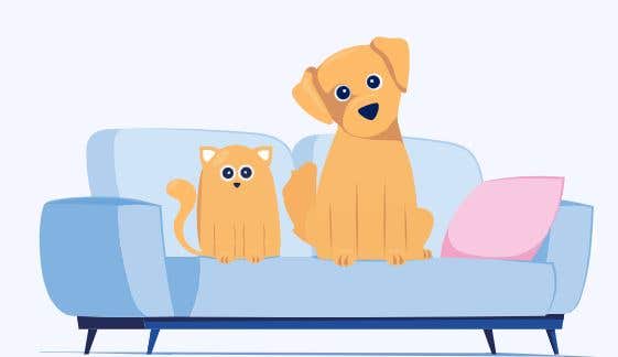 BetterVet Seattle, Mobile Vet Care