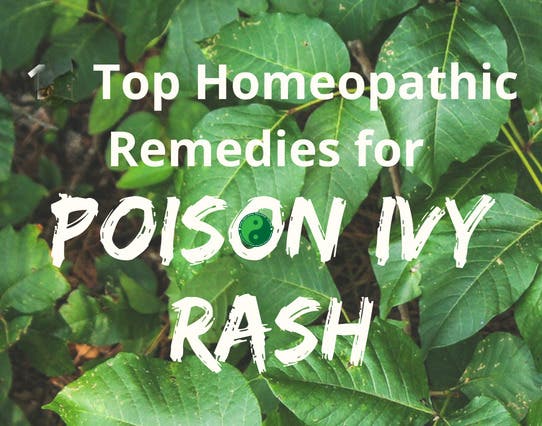 Poison Ivy: Symptoms, Western and Holistic Treatments