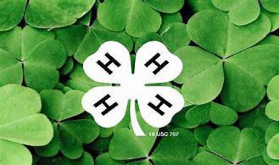 4-H Fair at Lake County Fairgrounds