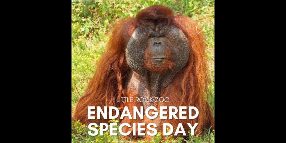 Endangered Species Day