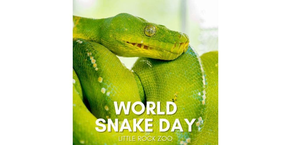 World Snake Day