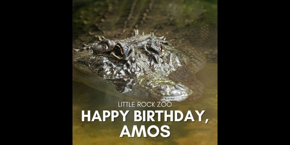 Amos’ Birthday