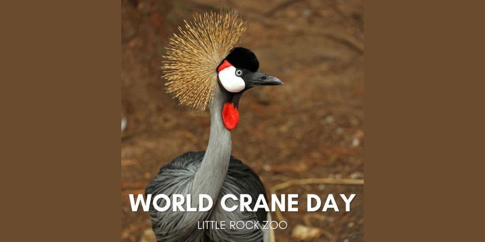 World Crane Day
